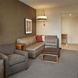 Specialty King Room Sofa Bed
